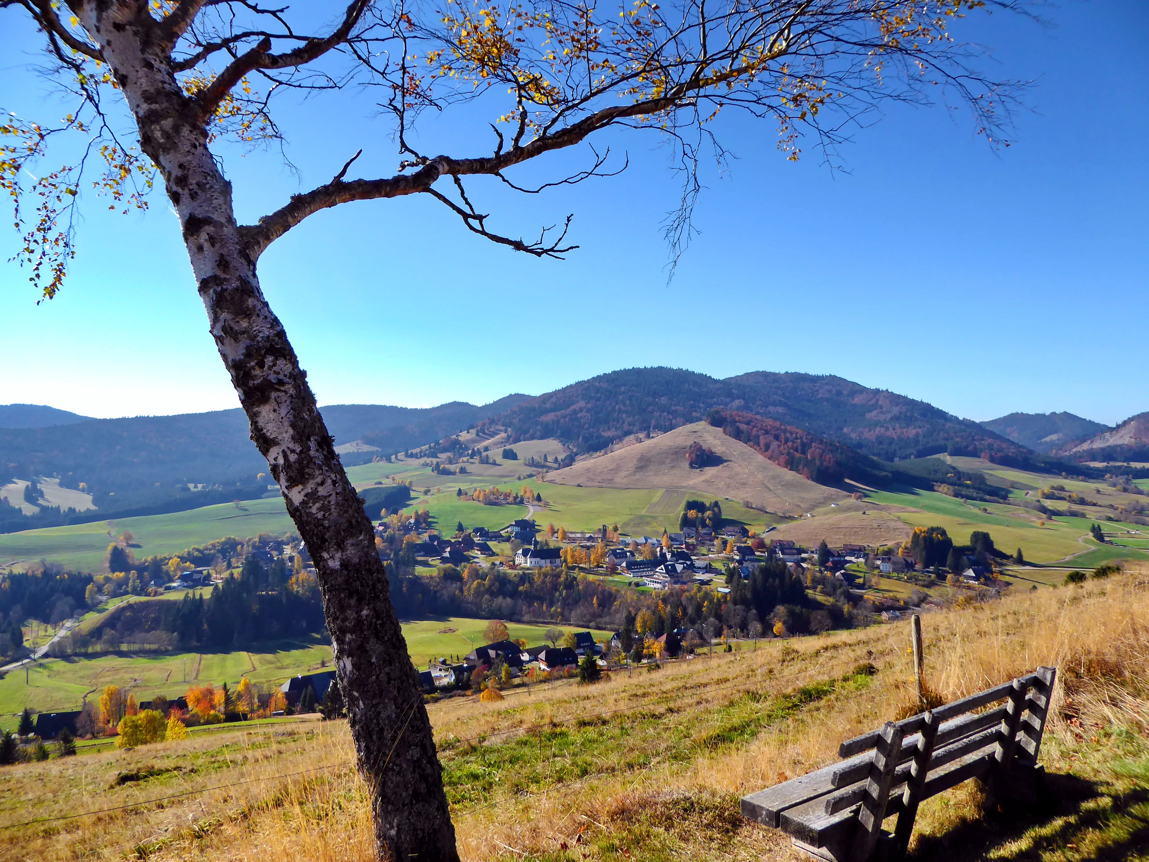 Blick auf Bernau Blick auf Bernau